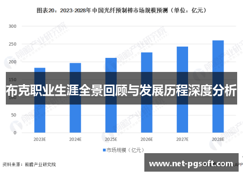 布克职业生涯全景回顾与发展历程深度分析