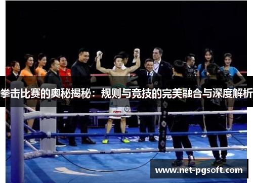拳击比赛的奥秘揭秘：规则与竞技的完美融合与深度解析