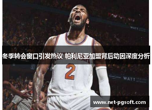 冬季转会窗口引发热议 帕利尼亚加盟背后动因深度分析