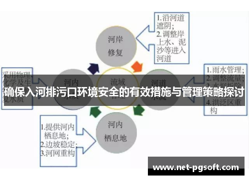 确保入河排污口环境安全的有效措施与管理策略探讨