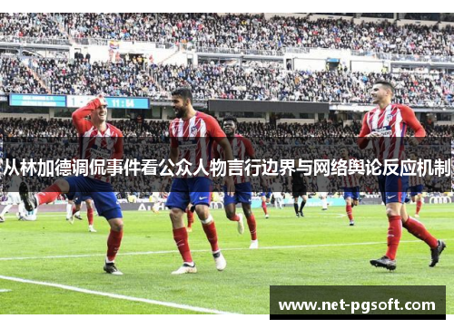 从林加德调侃事件看公众人物言行边界与网络舆论反应机制