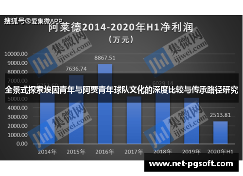 全景式探索埃因青年与阿贾青年球队文化的深度比较与传承路径研究 全景式探索埃因青年与阿贾青年球队文化的深度比较与传承路径研究